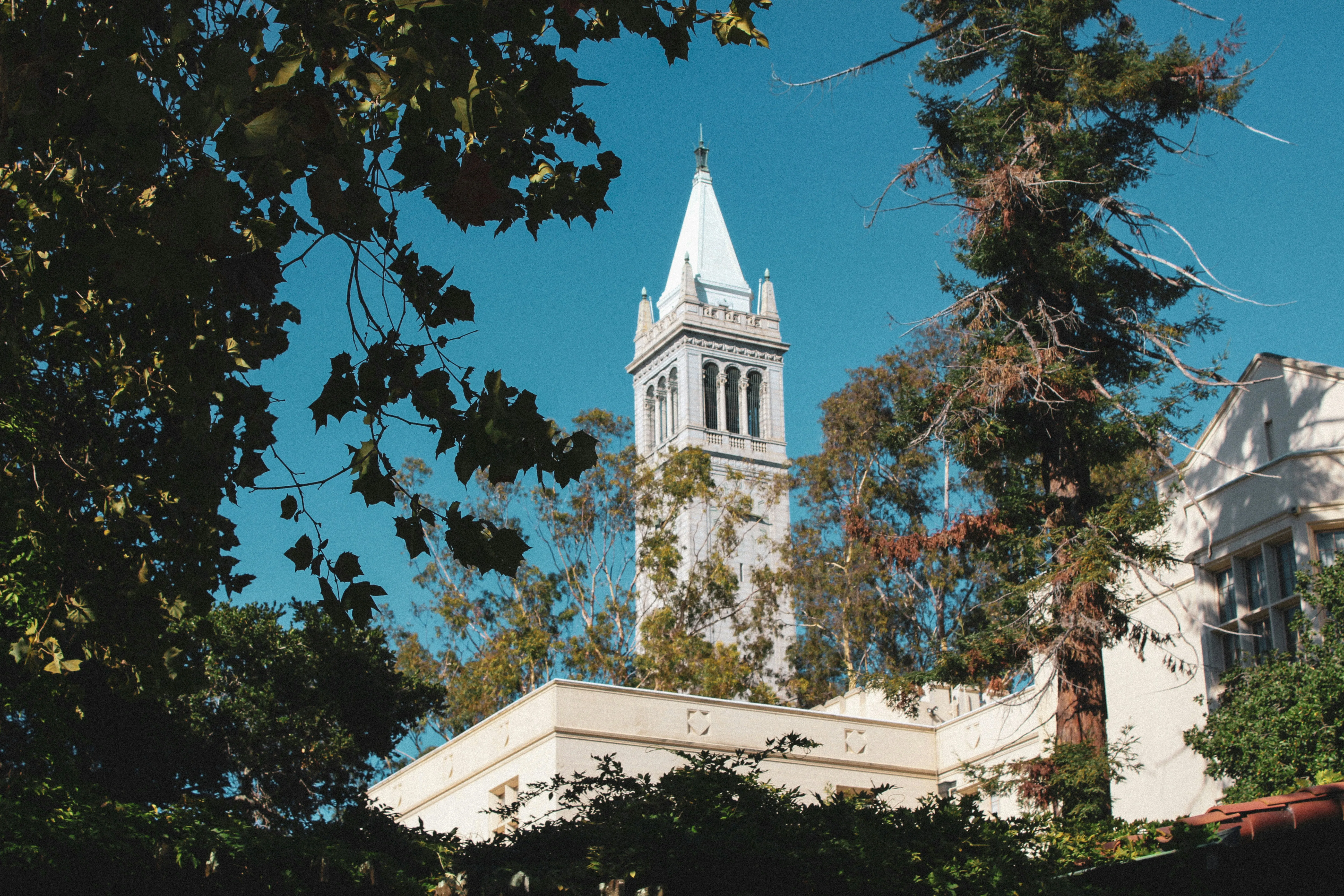 uc berkeley